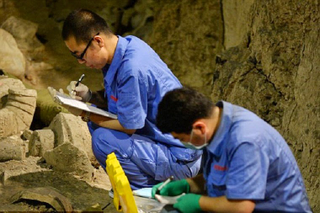 Illustration for article titled Over 1,400 Terracotta Soldiers Could Be Uncovered In New Dig